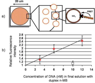 Fig. 6 A schematic representation of the n-MB architecture (a) and the limit of detection curve for n-MB duplex (b)