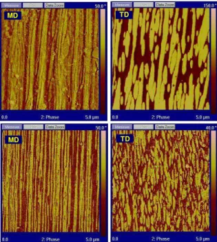 Figure 2. AFM phase micrographs using tapping mode in the machine direction (MD) and transverse  direction (TD)  of reinforced membranes obtained by melt-blowing (top) and melt-casting (bottom)  Optimized membranes show room temperature conductivity of 8.1