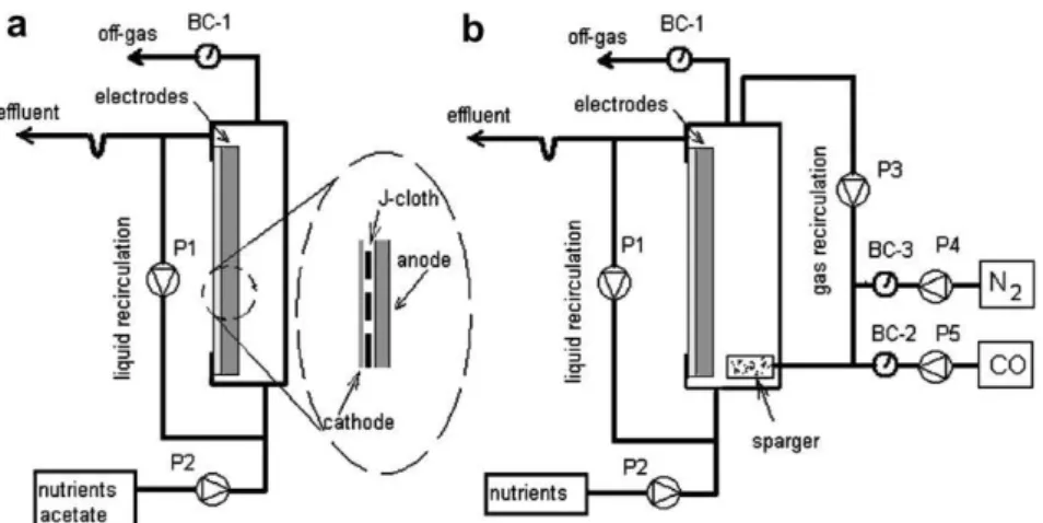 Table 2 and Fig. 2 provide a comparison of electrochemical characteristics of each CoTMPP cathode