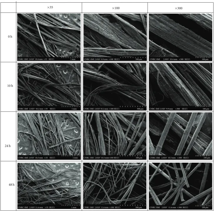 Figure 2: SEM images of fiber samples at different magnifications.