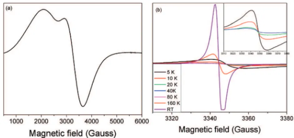 Figure 3. Active-site structure models.