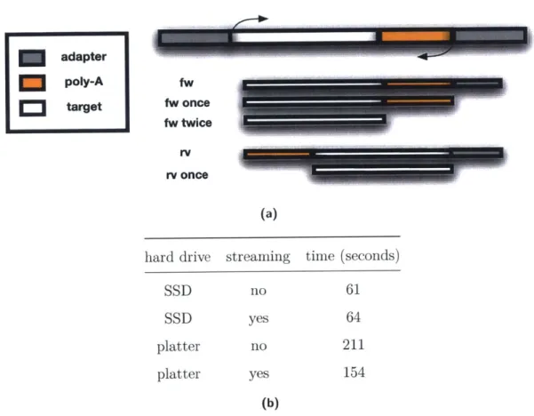Figure  1-6:  Tuning  of  adapter  trimming  with  cutadapt.  a)  Trimming  of  adapter,  polyA tails  and  other non-informative  contaminant  sequences  from  the ends  of reads  is  necessary for  compatibility  with  downstream  tools  that cannot  han