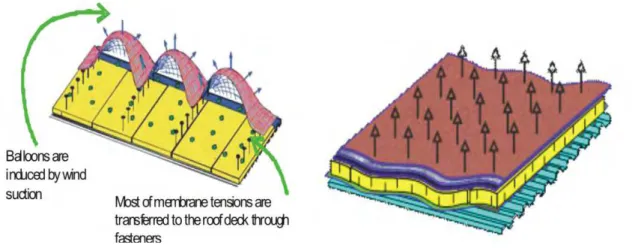 Figure 3. Wind effects on flexible (left) and rigid (right) roofs   