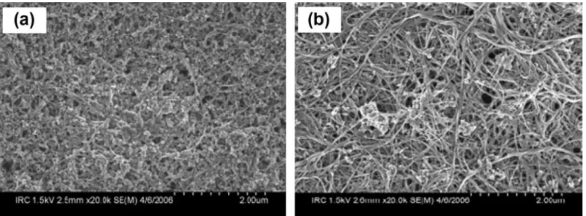 Fig. 1. SEM images of (a) as-produced SWCNT and (b) purified SWCNT.