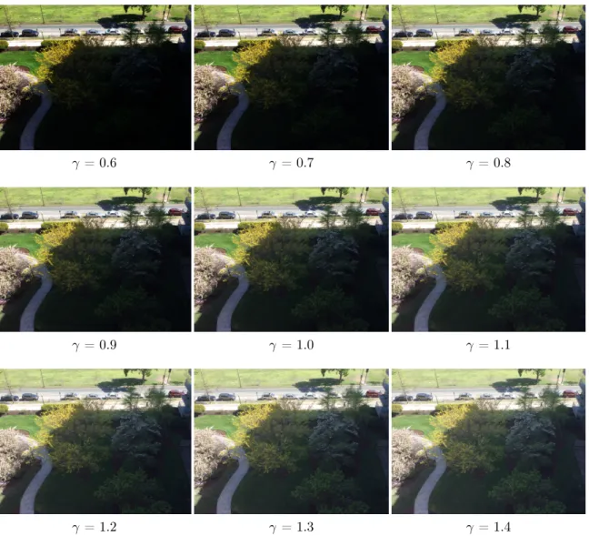 Figure 4-1: Gamma correction with no amplification and shift (