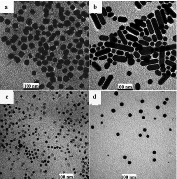 Figure 4. The TEM images showing the various morphologies observed from the EuSe NCs obtained at 2908C