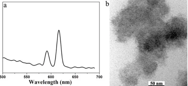 Figure S5. The PL spectrum (a) and TEM image (b) of the EuSe NCs prepared in the absence of OLA and  with a precursor feed molar ratio of 1Eu : 4Se and 2.0 mmol OA in ODE at 290 °C