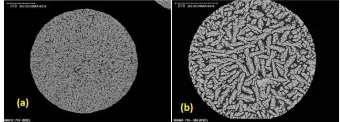 Figure 3 shows the SEM microstructure of two impulse atomised particles of Al–50 wt-%Ni