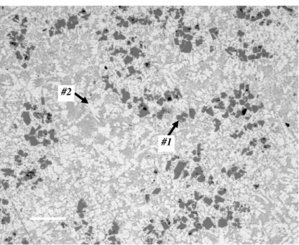 Figure 1. Cross-section of the motorcycle engine with 250  cm 3  water-cooled cylinder block (#1) made from the  hypereutectic DiASil TM  alloy  (Al-20%Si-3.5%Cu-0.5%Mg) using the vacuum assisted HPDC process  (Photo: Courtesy of Yamaha Motor Co