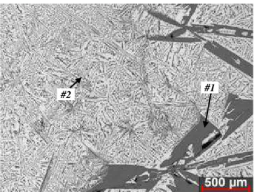 Figure 6. Optical micrographs (50x) of the Al-19%Si binary alloy test sample solidified at an average cooling rate of about 0.5  o C/s