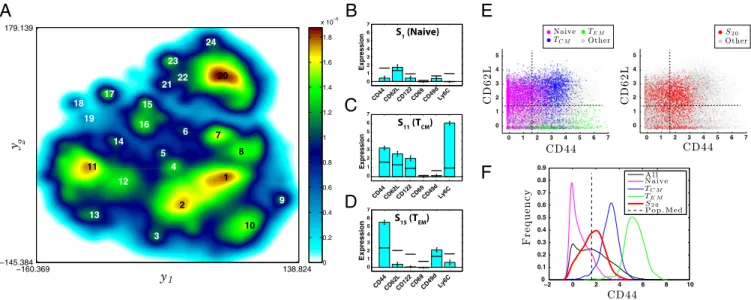 Fig. 2. ACCENSE identifies CD8 + T-cell subpopulations in SPF B6 mice. (A) Subpopulations S 1 − S 24 identified as local maxima in the density map are marked.