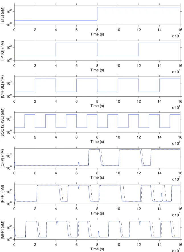 Figure 13. Simulation of automatically generated genetic regulatory networks for the two-bit adder