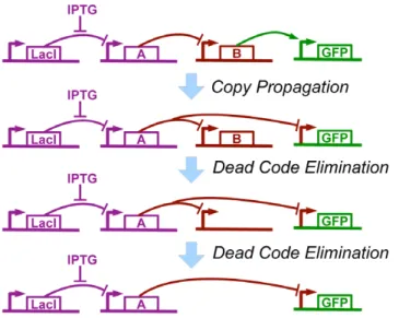 Figure 9. Example of optimization, applied to the compiled genetic regulatory network from Figure 8