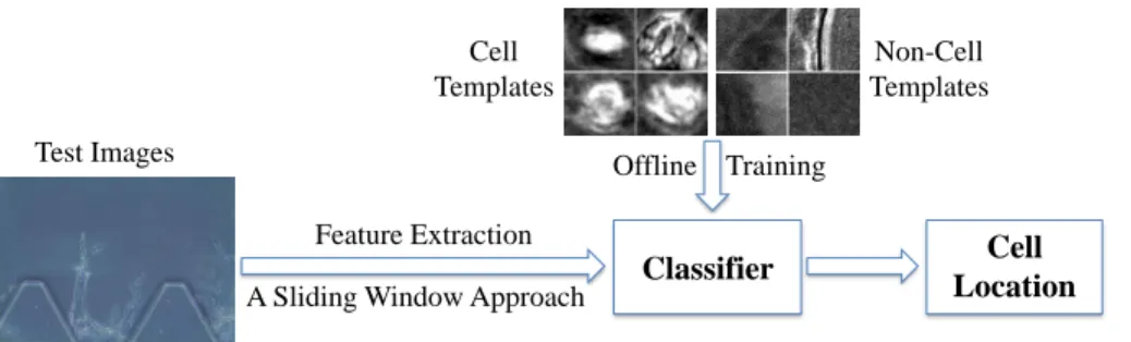 Figure 2. Template matching flowchart: offline training is used to train a classifier based on the extracted discriminative features from the training data
