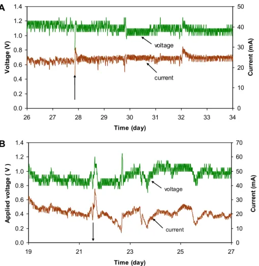 Fig. 4 e MEC performance response to HRT changes during (A) MEC-A operation when HRT was increased from 8.5 h to 17 h and (B) MEC-W operation when HRT was decreased from 17 h to 8.5 h