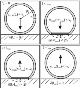Figure 1. Ball deformation in analytical model  The  deformed  shell  accelerates  and  moves  in  opposite  direction