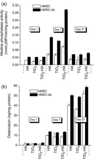 FIGURE 5. Osteoblastic markers in hMSC and hMSC-ob cultured on nanocomposites. Cells were incubated up to 21 days on the different surfaces and alkaline phosphatase (ALP) activity (a) and osteocalcin (OC) expression (b) were measured in cell lysates