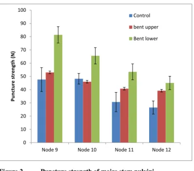 Figure 2   Puncture strength of maize stem pulvini 