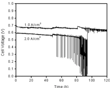 Figure 7 shows the steady-state polarization curve obtained after 24 hours of high load lifetime testing at 2.0 A/cm 2 , and that after 130 hour at normal operation testing at 1.0 A/cm 2 