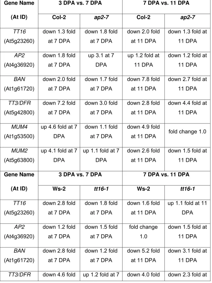 Table 3. Expression level of epidermal genes in tt16-1 and endothelial genes in ap2-7  3 DPA vs