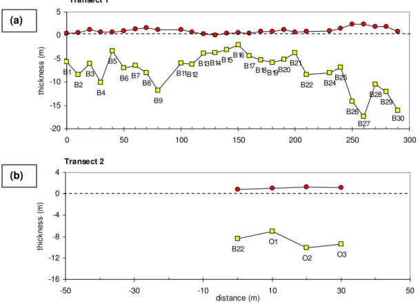 Figure 15  Floe L03:  Surface and bottom topography from drill hole measurements 