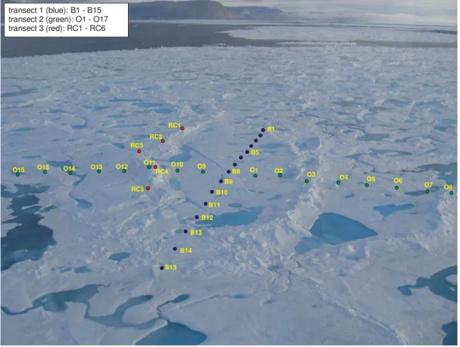 Figure 20  Aerial view of Floe L04 showing the two drill hole transects 