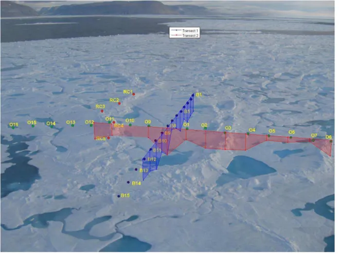 Figure 21  Three dimensional representation of total ice thickness on Floe L04  Transect 1 (red line) and Transect 2 (blue line)