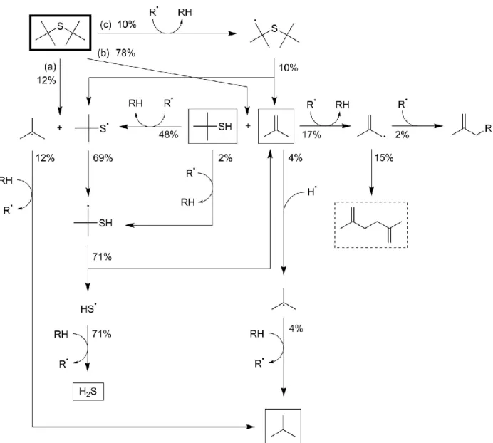 Figure 4. Major reaction pathways for neat pyrolysis of di-tert-butyl sulfide at 380  ° C