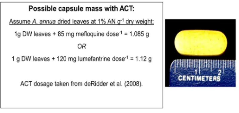 Figure 3. ACT delivery involving A. annua leaves. Capsule sizes are reasonable for human ingestion of A