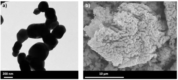 Figure 5. a) TEM and b) SEM micrographs of a ZnMn 2 O 4  powder sintered 800 °C for 16h