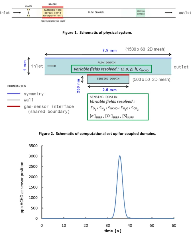 Figure 2.  Schematic of computational set up for coupled domains. 