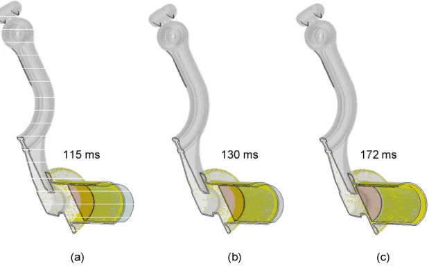 Figure 6: potential “skin defect” locations as predicted by the SPH model, case 2 
