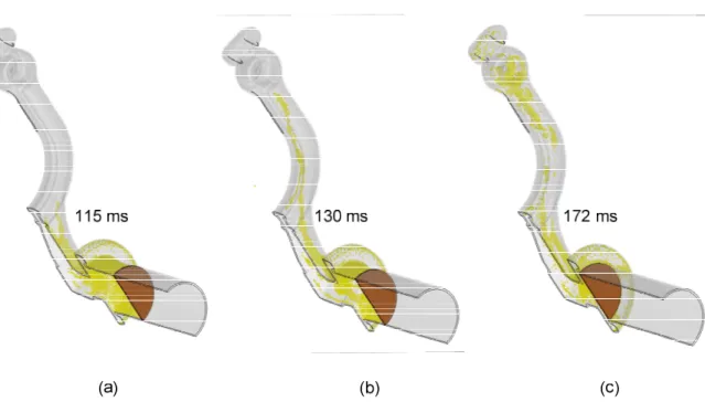 Figure 4: potential “skin defect” locations as predicted by the SPH model, case 1 