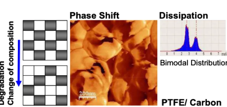Figure 1 Phase shift image of a microporous layer with PTFE  (bright) and carbon (dark) components
