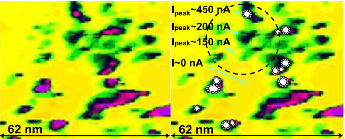 Figure 9 Current image of a 30 nm cluster (circle on the right side) of Nafion 112 composed of  individual conductive spots of 1 nm to 3 nm, measured by QNM TUNA on the left side and with an  overlay of inverted micelles.