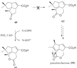 Figure 14. PtlE-mediated oxidation of 1-deoxy-11-oxopentalenic acid (60).