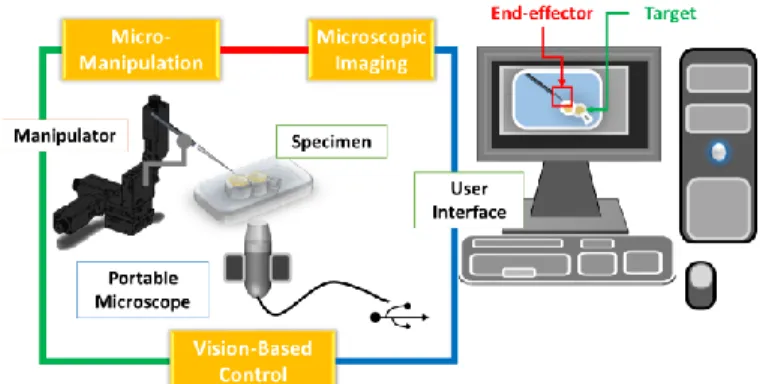 Fig. 2. Workflow of Automatic Vision-Guided Micromanipulation; Self- Self-Initialization and Vision-Guidance are based on DFTS Algorithm [29] 
