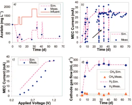 Figure 2 presents a comparison of model outputs with the experimental results obtained in MEC-1