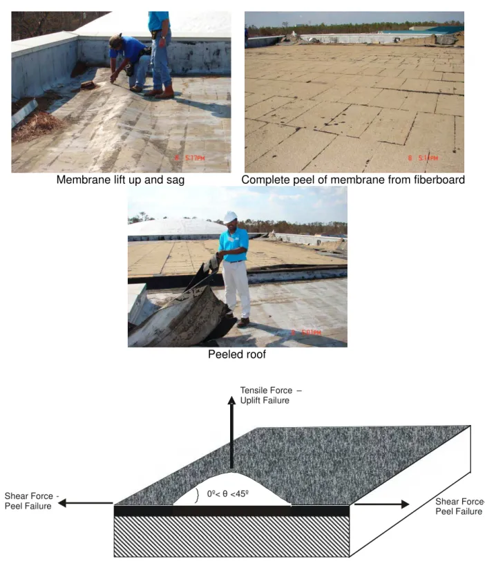 Figure 1. Simplified View Force Causing Roof Failure due to Wind Action  (Wu, 2008) 