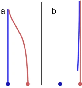 Figure 7. (Color online) Balancing adhesion with strain. (a) Both nanotubes adhering to  seed particles, with one strained