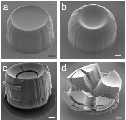 Figure 2. Morphologies of carbon nanotube forests. (a) Slightly concave, 860°C, self- self-terminated