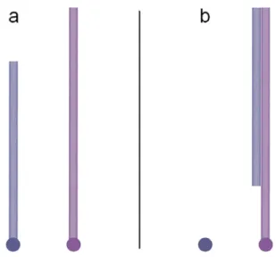 Figure 6. (Color online) Balancing adhesion with cohesion. (a) Nanotubes adhering to  catalyst particle