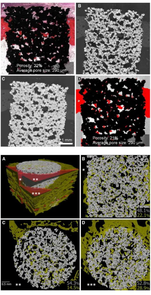 Fig. 6 Comparison of bone ingrowth in light microscopy (LM) and 2D lCT images of the same 85 lm section