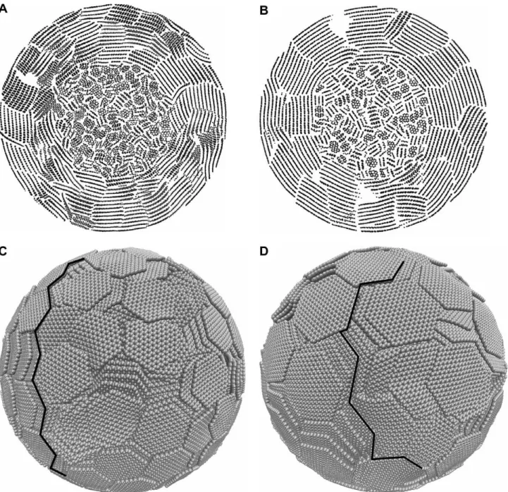 Fig. 2 – Morphology of primary carbon black particles. The slice views are (A) for the carbon particles with shell units d = 2.7 nm, and (B) for the carbon particles with shell units d = 3.7 nm