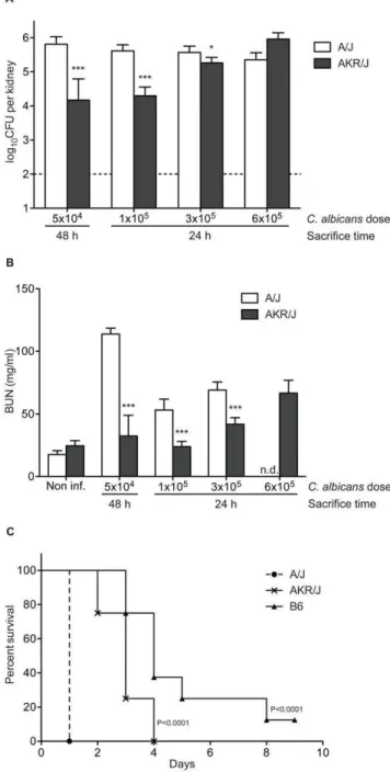 Figure 4. Differential susceptibility of A/J and AKR/J mice to C.