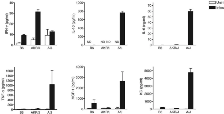 Figure 5. Inflammatory cytokine levels in the AKR/J mouse strain. Serum cytokine levels in 3–6 mice of each strain were measured prior to infection and at the 48 h time point, as described in Materials and methods