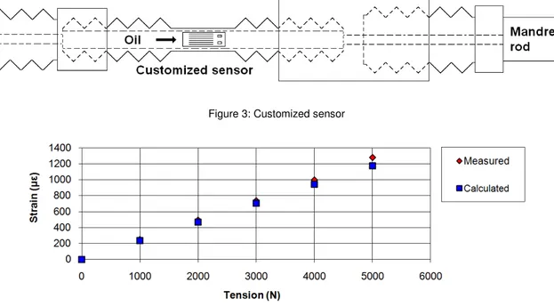 Figure 3: Customized sensor 