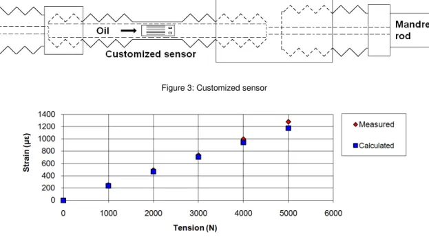 Figure 3: Customized sensor 