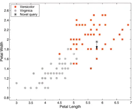 Figure  4-6:  Binary  classification  of irises  with nearest  neighbor.