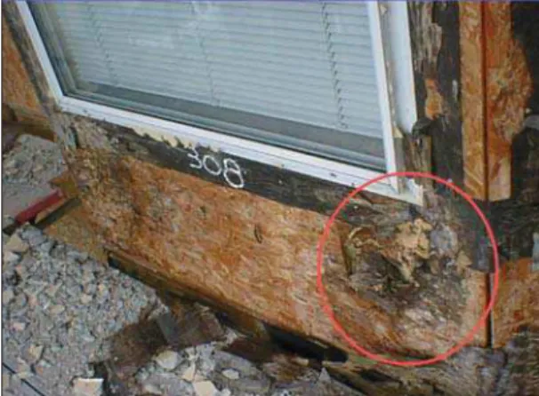 Figure 1. Damage caused by water entry 